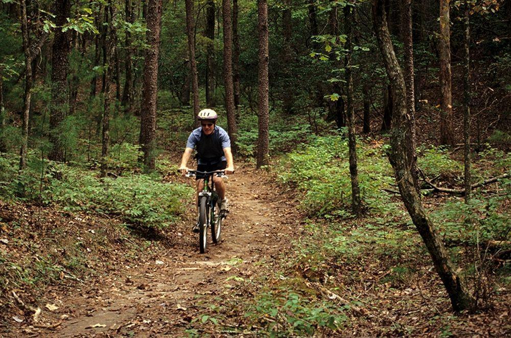 Unicoi State Park & Lodge Helen Zewnętrze zdjęcie